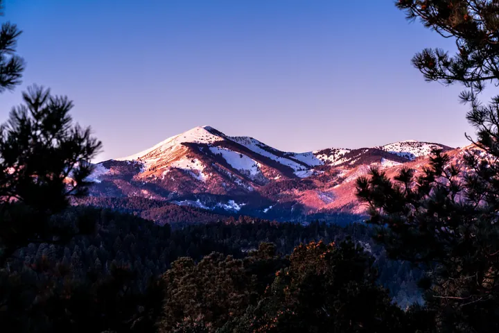 Snow-Capped Mountain Peaks And Forest Branch wallpapers