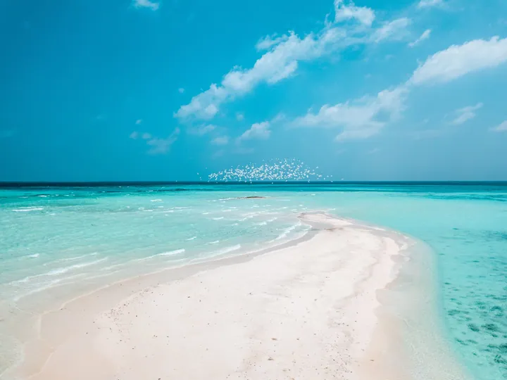 Beach Horizon With White Sand And Blue Sky wallpapers