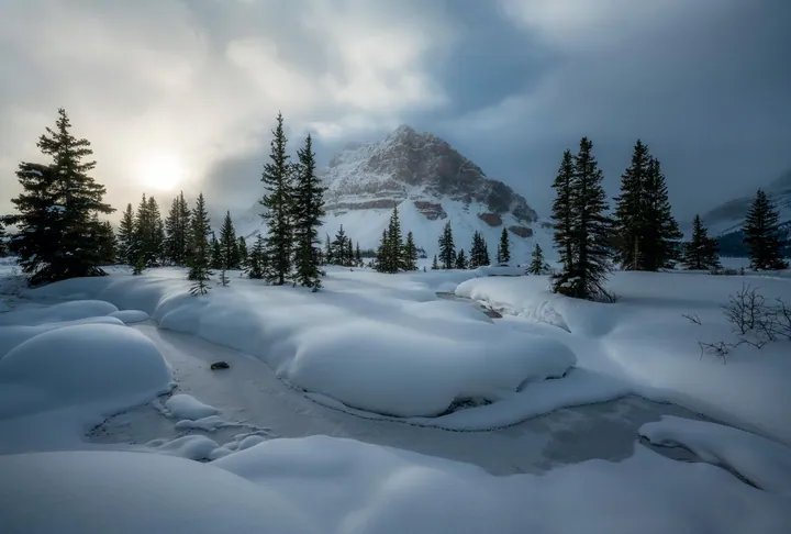 A snow-covered field with a small stream running through it, surrounded by trees and mountains in the background
