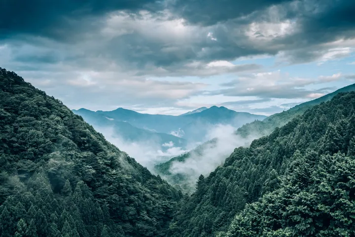 Aerial View Of Mountain Range And Fog wallpapers