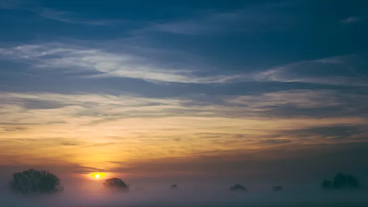 Sunrise Over Foggy Field With Silhouetted Trees — original wallpaper