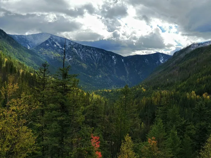 A view of a mountain range from the top of a hill, with trees in the foreground and hills in the background