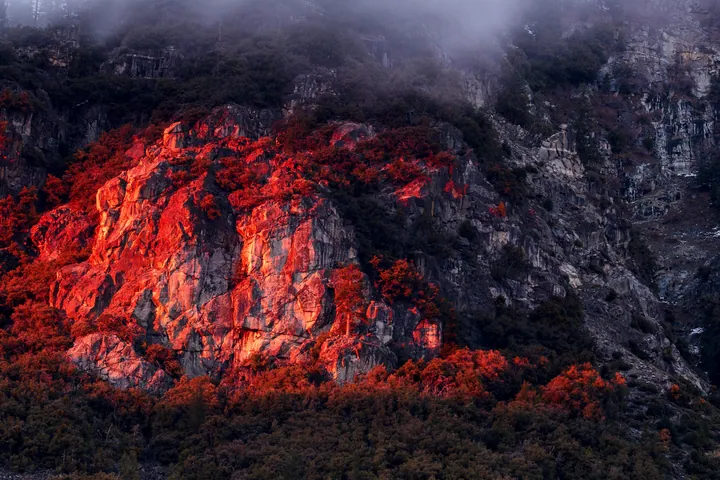 A mountain with a red rock in the middle of it, surrounded by trees and shrouded in fog