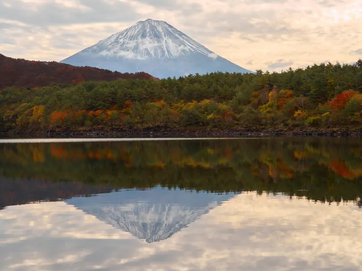 Mt. Fuji Autumn Reflection On Lake wallpapers