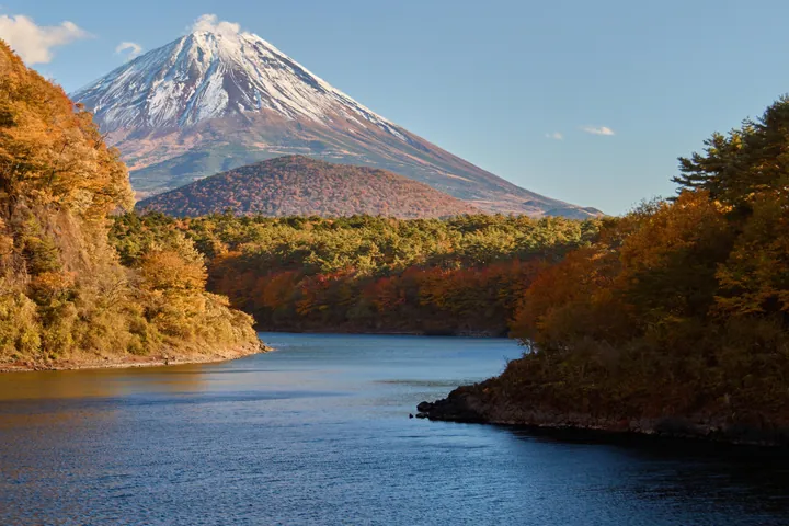 Lake Shoji Autumn View With Mt. Fuji wallpapers