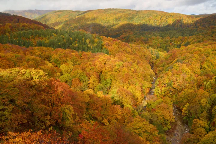 Jogakura Valley Autumn Aerial View wallpapers