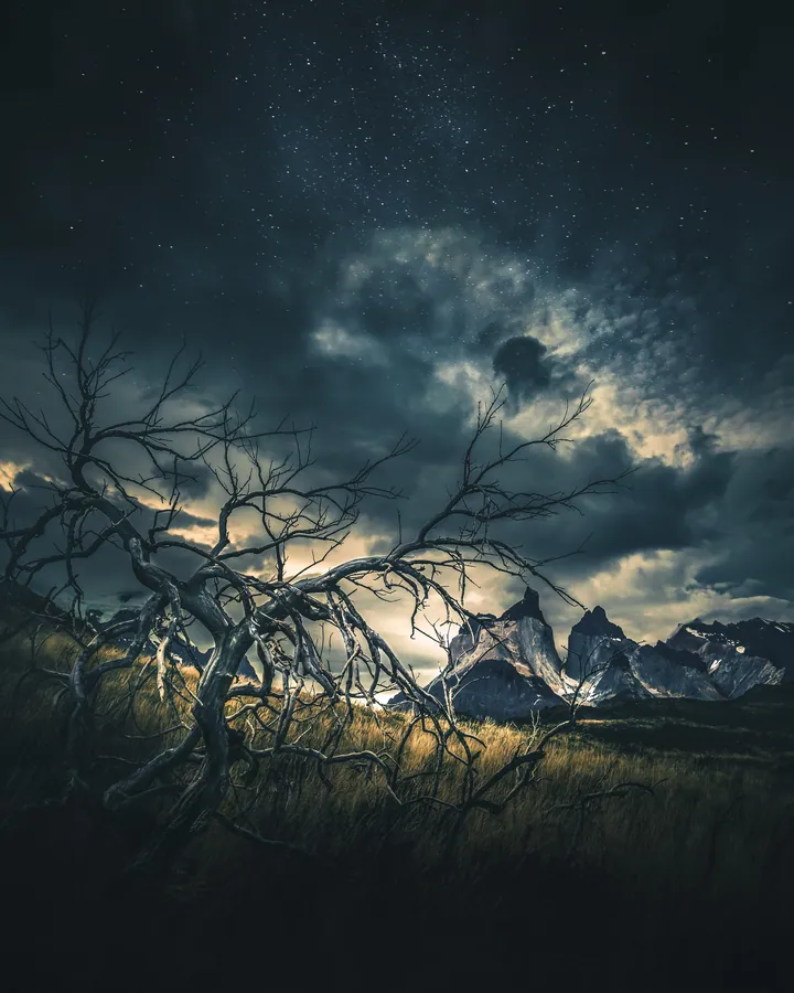 A lone tree in the middle of a field with mountains in the background