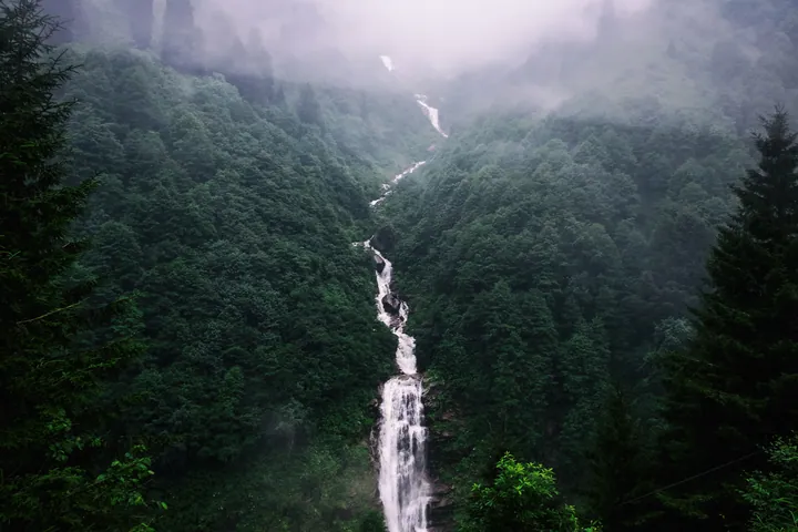 Waterfall Amidst Lush Forest And Fog wallpapers