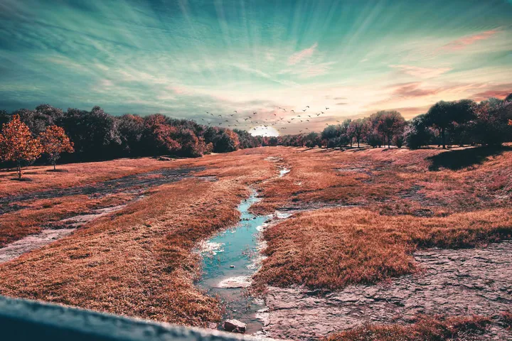River Through Lush Green Field With Trees — original wallpaper