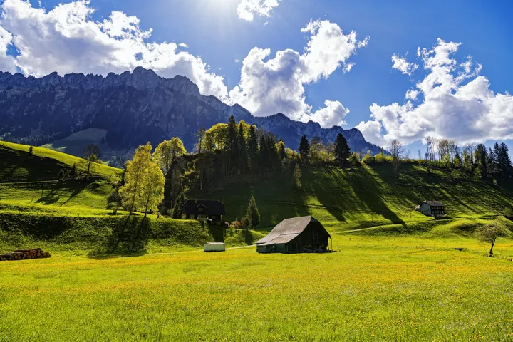 House In Grassy Field With Trees — original wallpaper