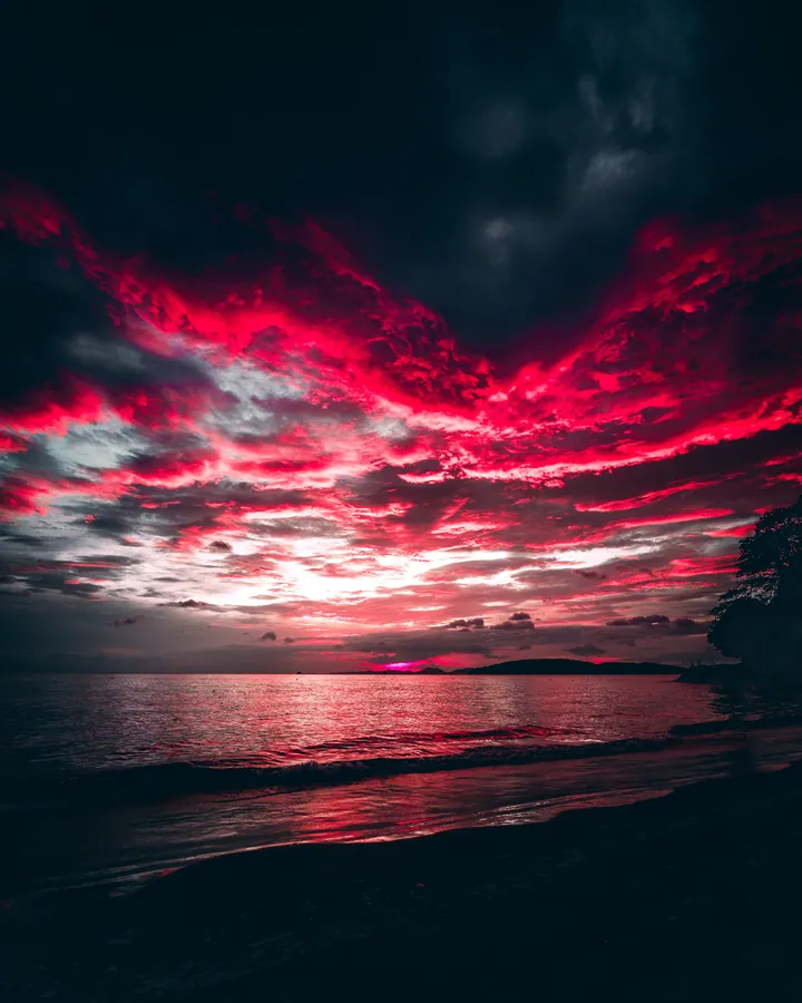 Red Sunset Over Calm Ocean With Silhouetted Trees wallpapers