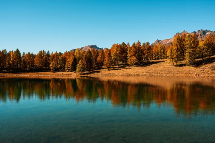 A lake surrounded by trees in the middle of a forest, with the reflection of the trees and mountains in the water