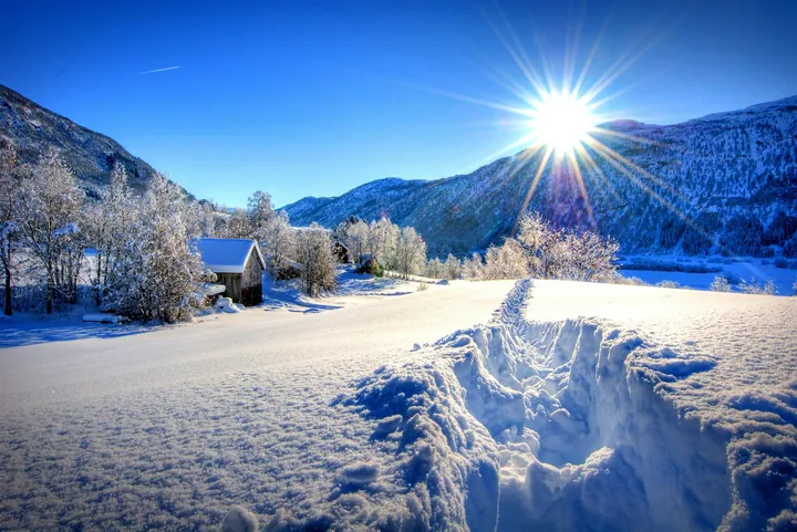 Winter Forest Dawn Snowy Field wallpapers