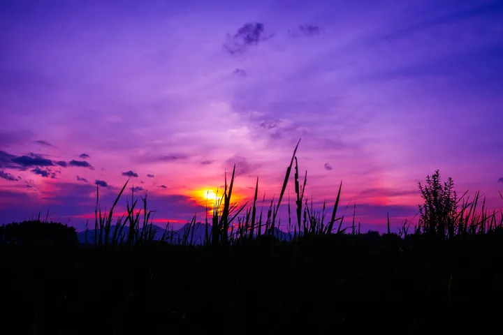 Twilight Grass Sky Sunset Scene wallpapers