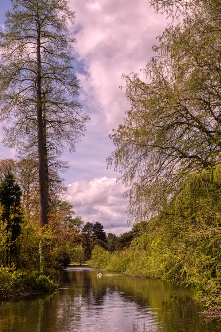 Pond Landscape With Trees And Water wallpapers
