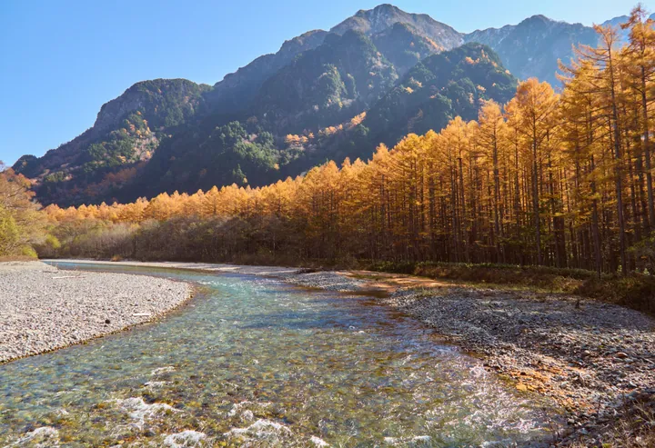 Kamikochi River Through Lush Green Forest wallpapers