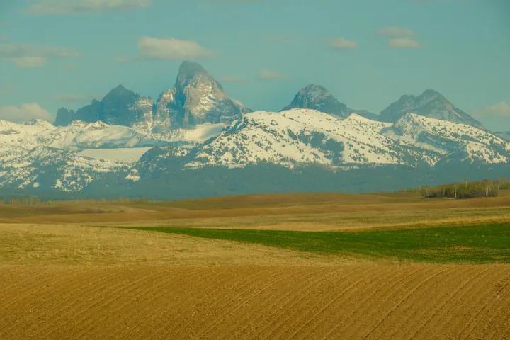 A field with lush green grass and trees in the foreground, and in the background, majestic mountains covered in snow and a sky filled with white, fluf