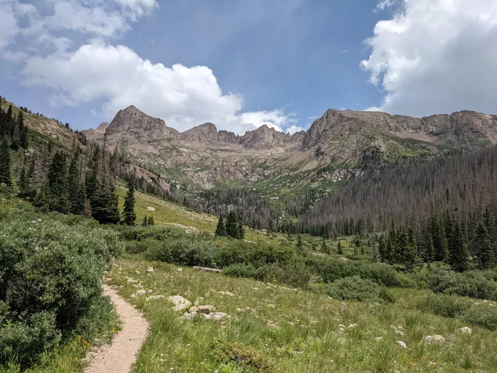 A trail winding through a grassy field with trees and mountains in the background