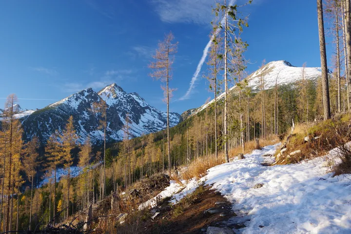 A snow-covered mountain with trees in the foreground and a sky with clouds in the background
