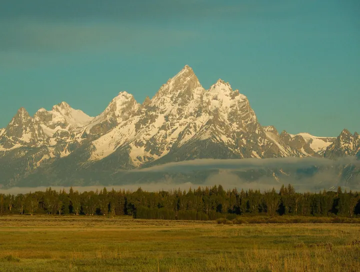 The majestic Grand Teton National Park in Wyoming, with its snow-capped peaks, lush green grass, tall trees, and a bright blue sky