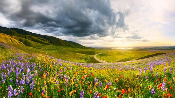 Wildflower Valley View Under Cloudy Sky — original wallpaper