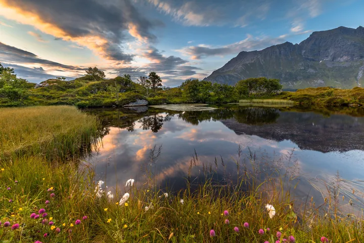 Lake Shore Mountains Grassy Landscape Preview — original wallpaper