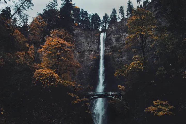 Waterfall Cliff Bridge Forest Scene wallpapers