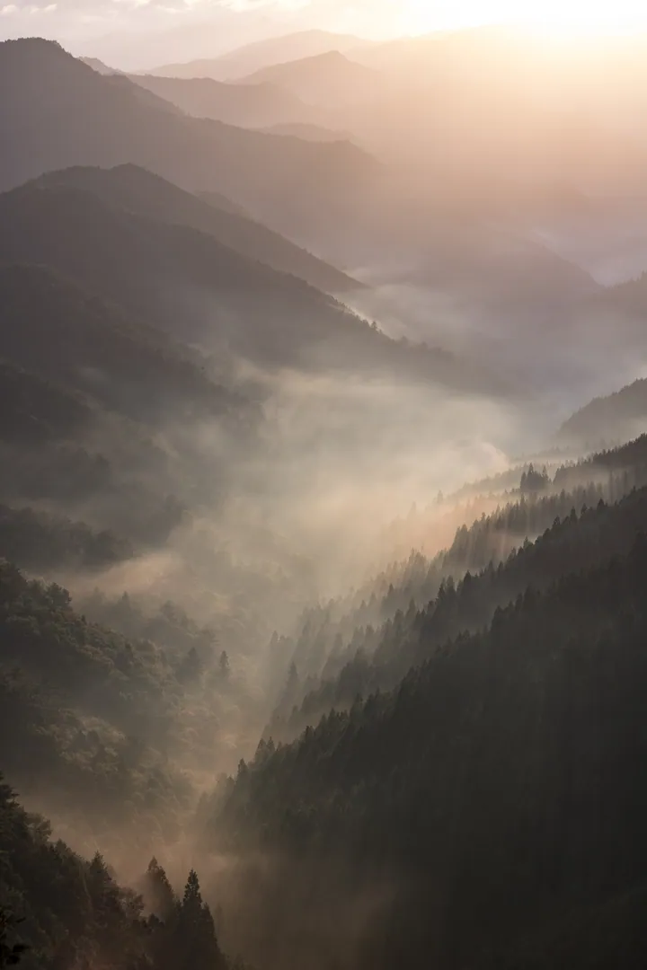 A majestic mountain range covered in a thick layer of fog, with trees dotting the hills and a cloudy sky in the background