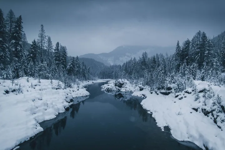 River Fog Snow Winter Forest Scene wallpapers