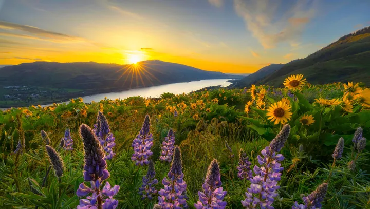 Sunset Over Lake In Oregon Mountains — original wallpaper