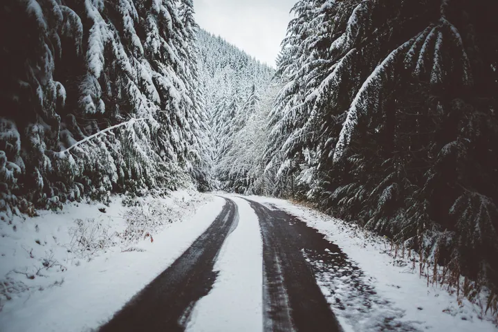 Snowy Road Winding Through Forest wallpapers