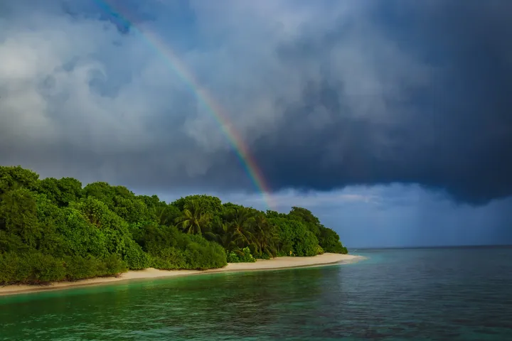 Rainbow Over Island With Lush Trees wallpapers