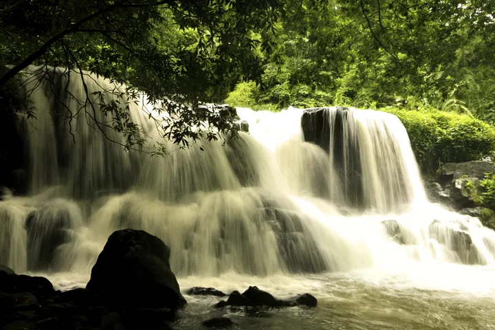 A small waterfall cascading down in the middle of a lush green forest, surrounded by tall trees and rocks
