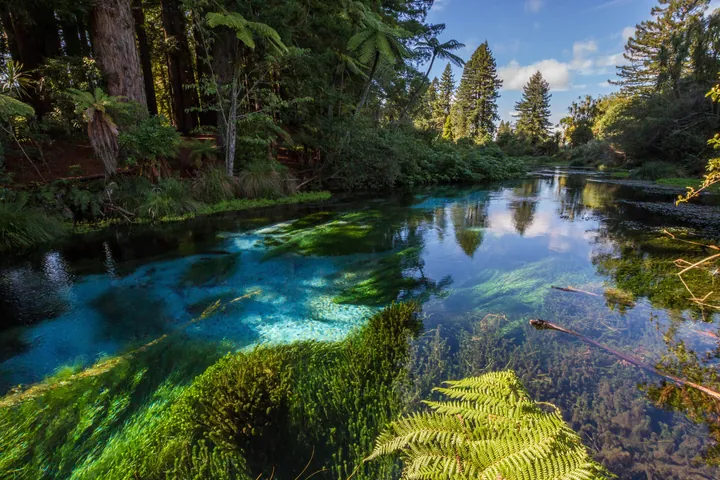 River Through Lush Green Forest — original wallpaper