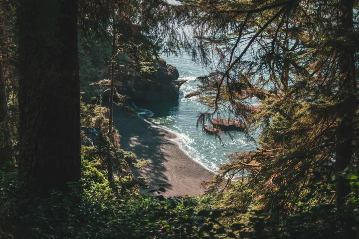 A view of a beach from the top of a cliff, surrounded by lush green trees and a bright blue sky