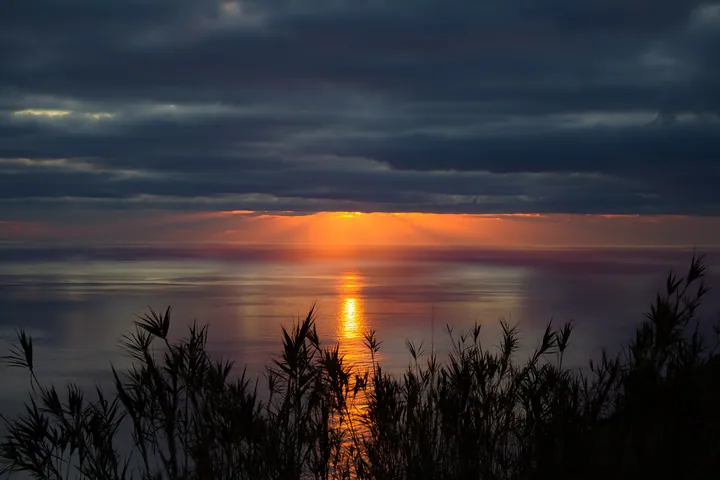 Sea Horizon Sunset With Grass wallpapers