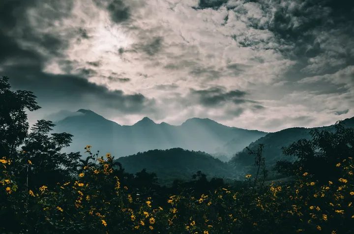 A lush green field with trees and mountains in the background, illuminated by the sun shining through the clouds