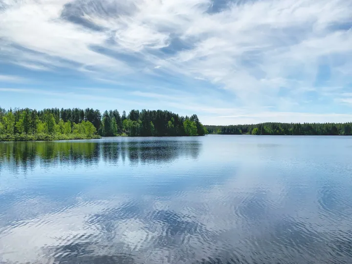 Lake Ripples Surrounded By Trees wallpapers