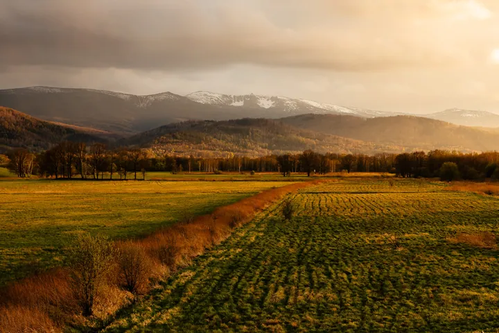 Sunlit Field Grass Mountains wallpapers