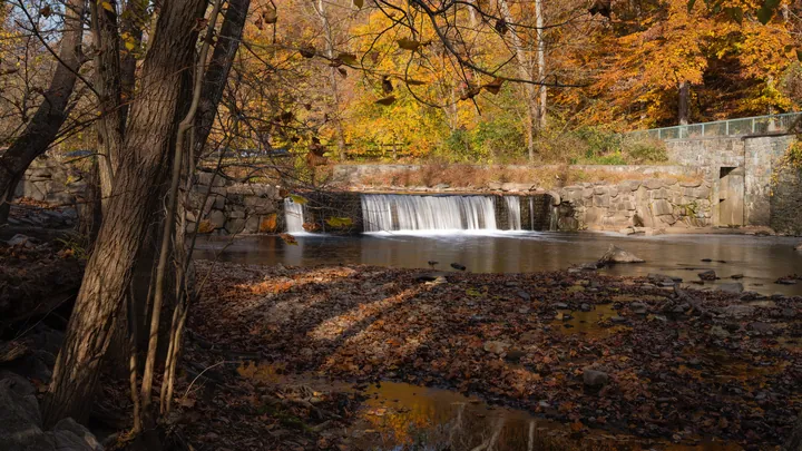 Autumn Waterfall Amidst Changing Leaves wallpapers