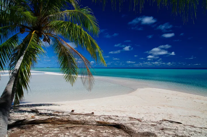 A beach with white sand and a palm tree in the foreground