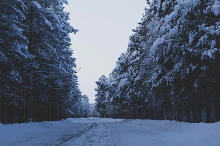 Snowy Forest Road Under Blue Sky — original wallpaper