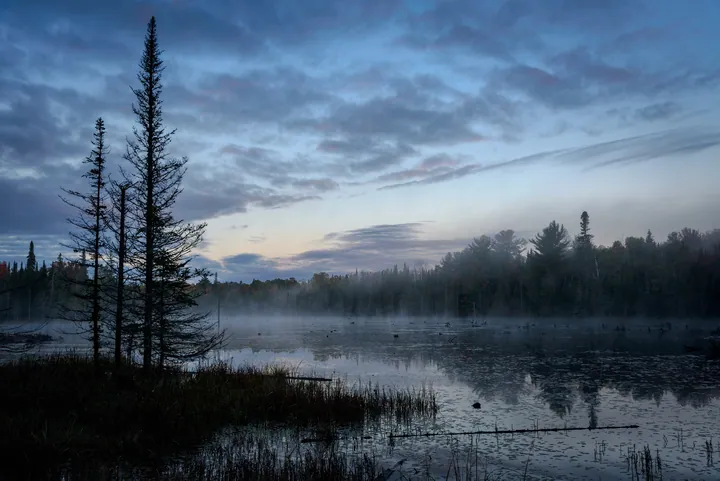 Misty Forest Lake at Sunset wallpapers
