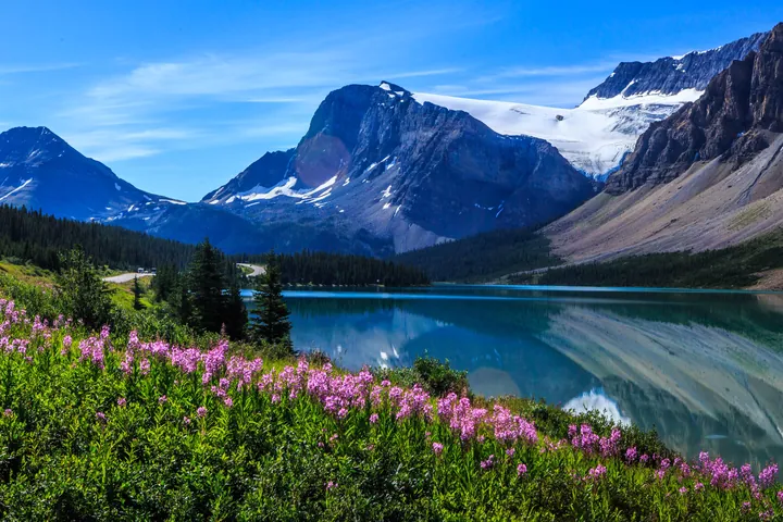 Bow Lake Landscape With Snow-Capped Peaks wallpapers