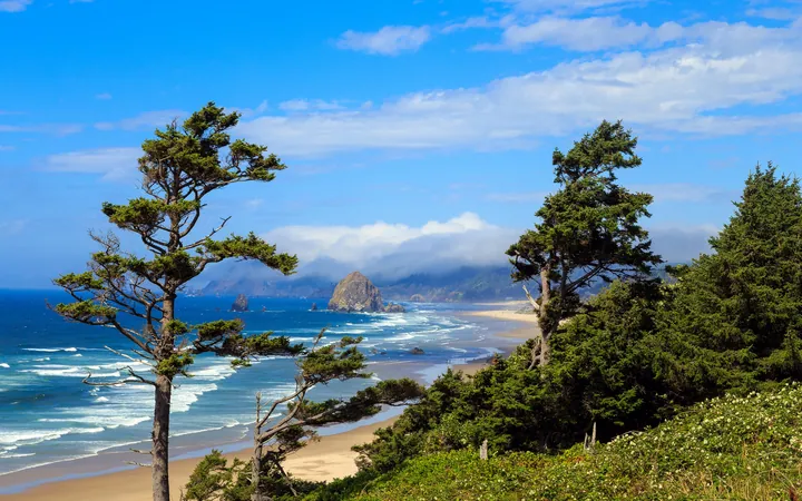 Oregon Coast Hill View With Ocean wallpapers