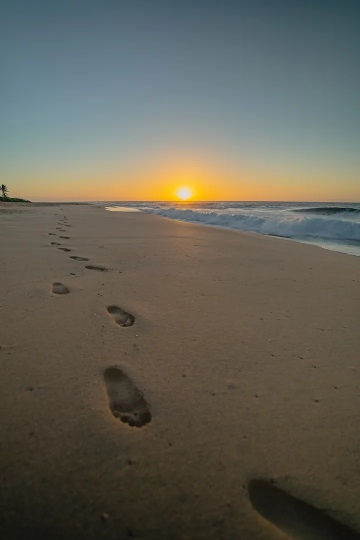 Footprints in the sand on the beach at sunset, with the sun setting in the background and the water lapping against the shore