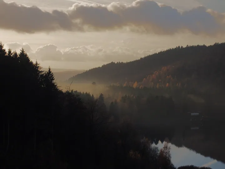 Forest Fog Hills Landscape wallpapers