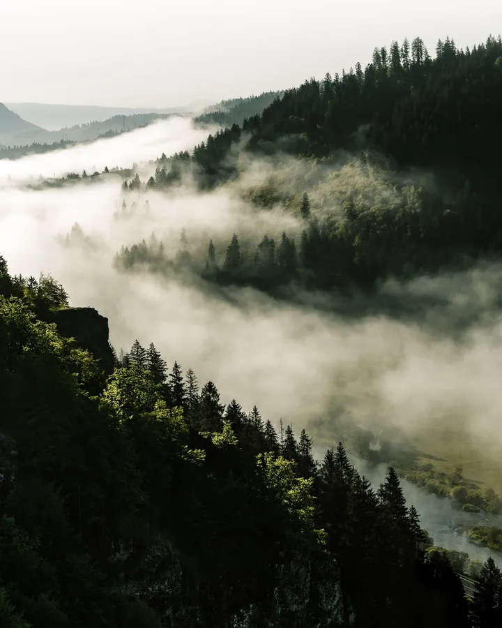 Foggy Mountain Range View From Hilltop wallpapers