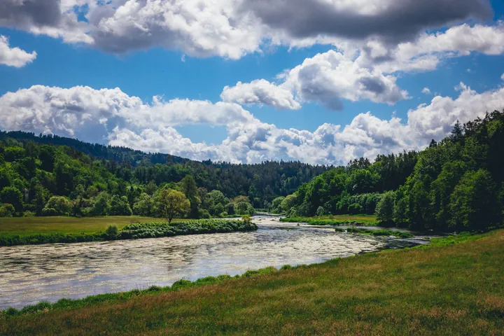 River Forest Trees Meandering Through Valley wallpapers
