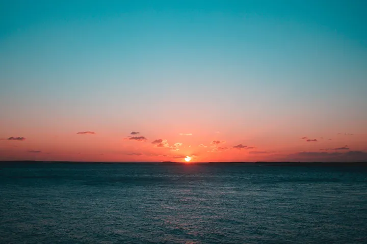 Sunset Sea Horizon With Birds wallpapers